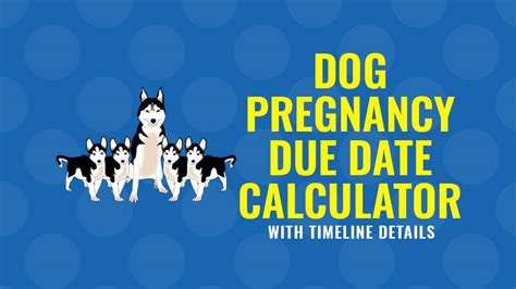 Dog Pregnancy Calculator